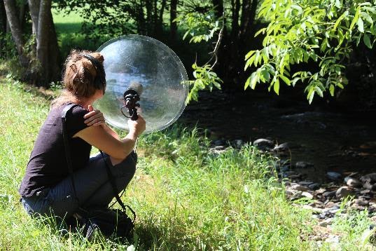 “De la puce à l’oreille” : une série radio pour éveiller la curiosité nature des petits et des grands