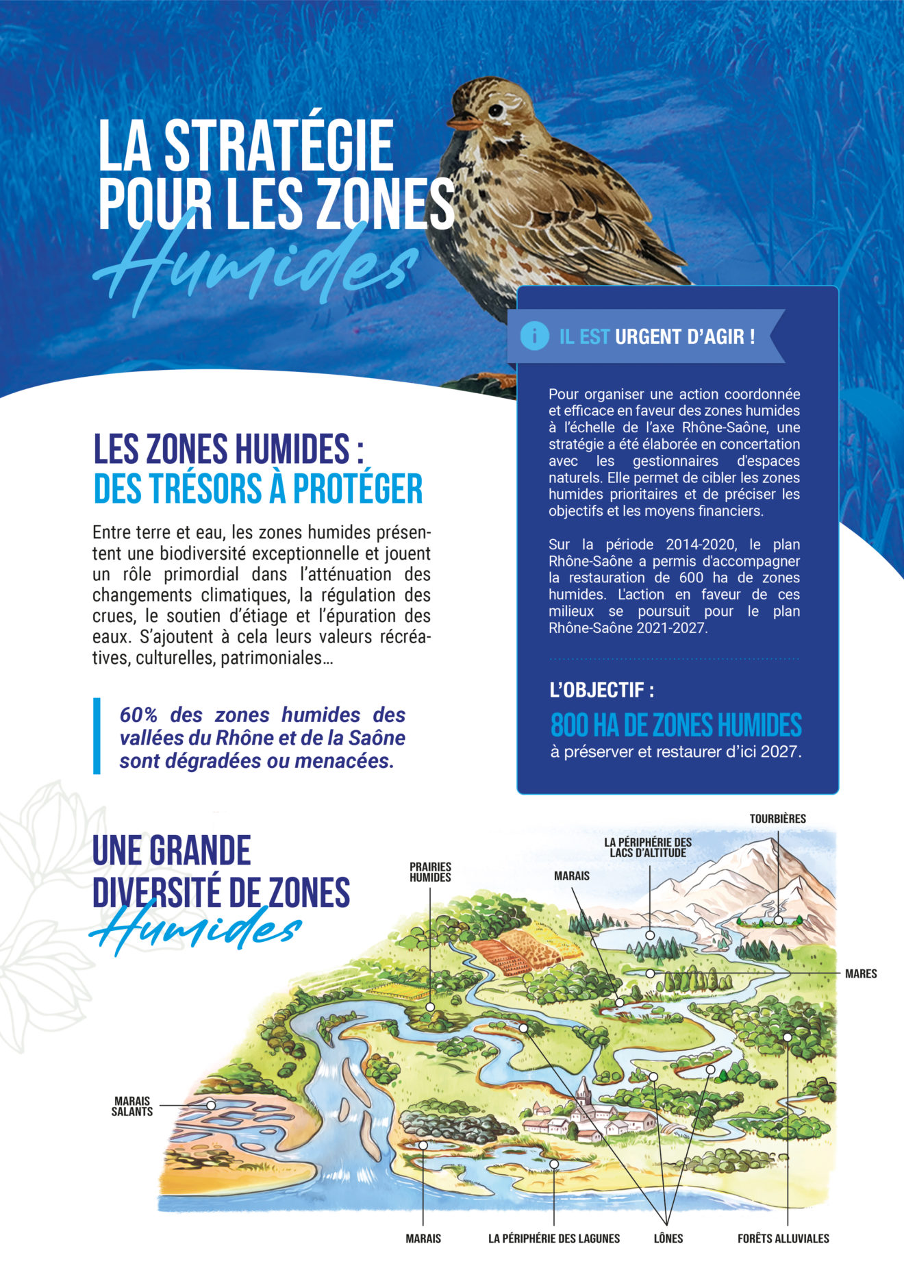 Les zones humides - Fédération des conservatoires d'espaces naturels