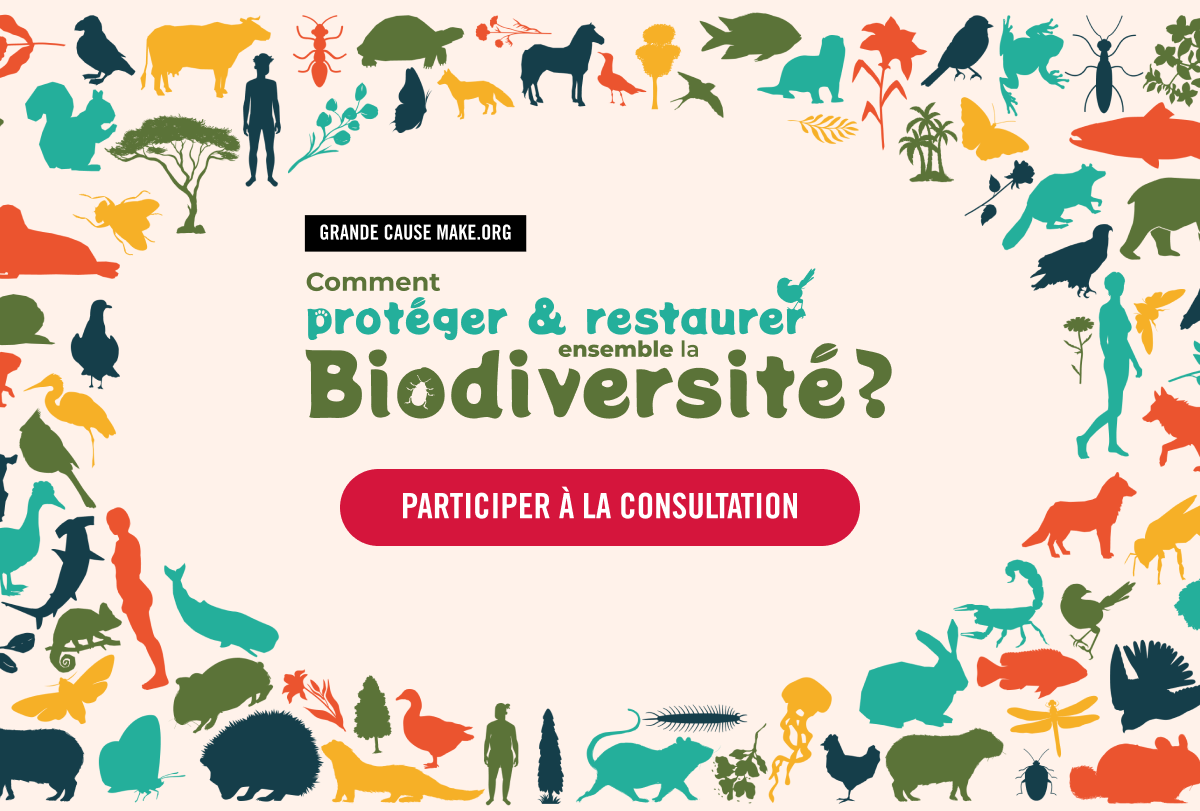 Grande Cause Make.org : Comment protéger et restaurer ensemble la biodiversité ?