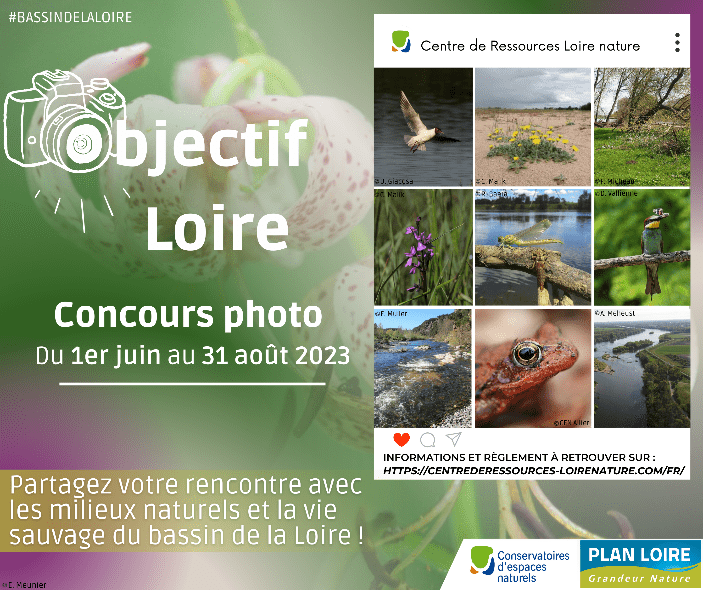 Participez au concours photo « Objectif Loire »