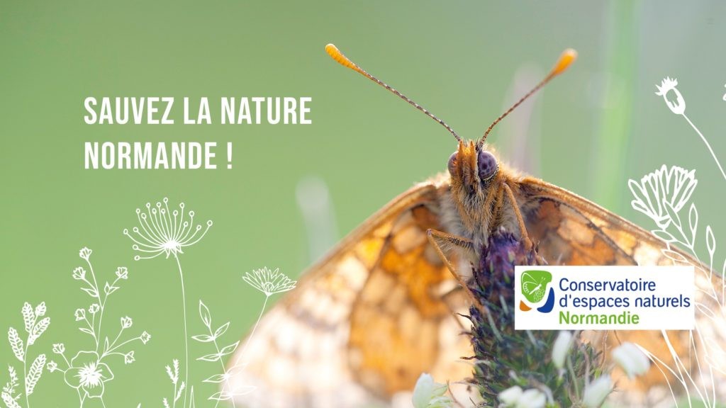 Sauvez le patrimoine naturel normand !